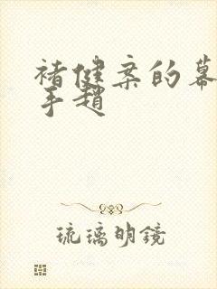 褚健案的幕后黑手赵