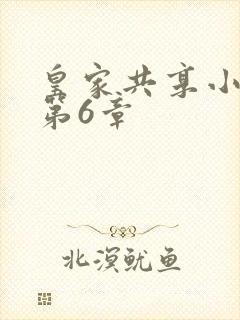 皇家共享小公主第6章