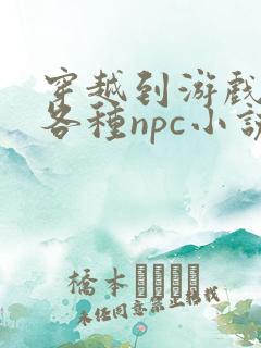 穿越到游戏里和各种npc小说