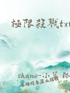 极限杀戮txt