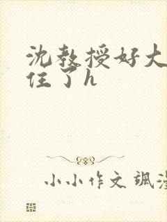 沈教授好大含不住了h