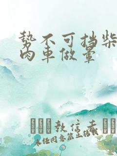 势不可挡柴鸡蛋肉车做晕