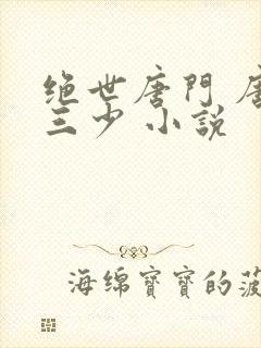 绝世唐门 唐家三少 小说