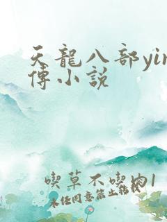 天龙八部yin传小说