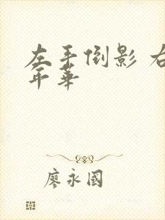 左手倒影 右手年华