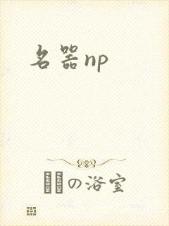 名器np