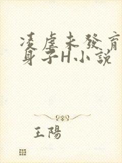 凌虐未发育的小身子H小说