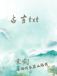 占有txt