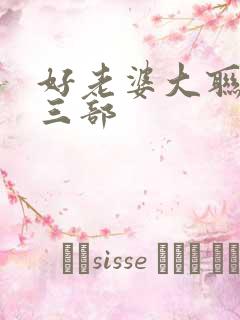 好老婆大联盟第三部