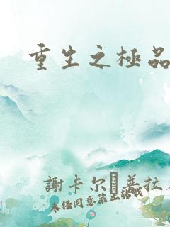 重生之极品三国