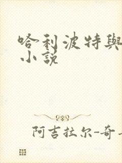 哈利波特与密室小说