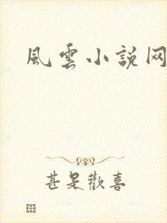 风云小说网