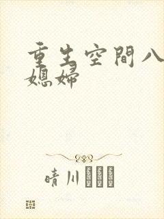 重生空间八零小媳妇