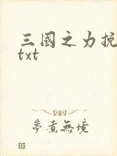 三国之力挽狂澜txt