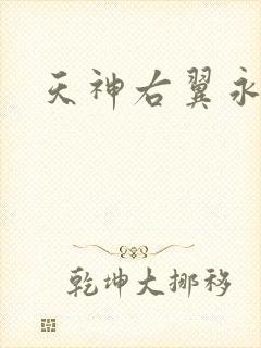 天神右翼永恒