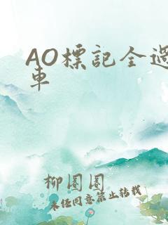 AO标记全过程车