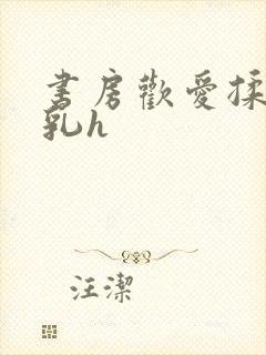 书房欢爱揉捏娇乳h