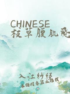 CHINESE校草腹肌飞机视频