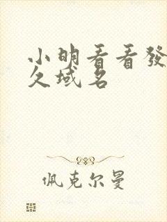 小明看看发布永久域名