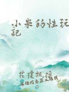 小米的性玩具日记