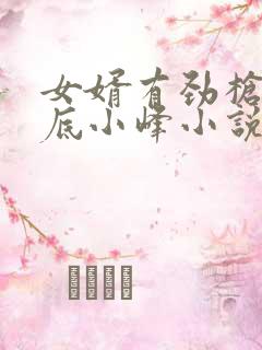 女婿有劲枪枪到底小峰小说