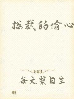 总裁的偷心娇妻