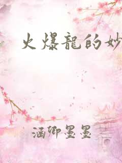 火爆龙的妙管家