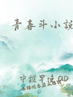 青春斗小说