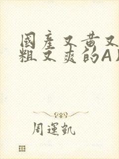 国产又黄又猛又粗又爽的A片小说