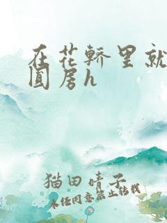 在花轿里就开始圆房h