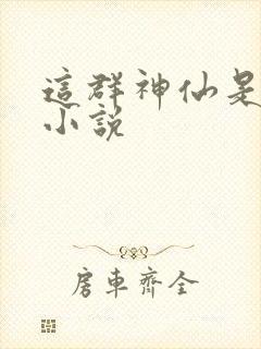 这群神仙是假的小说