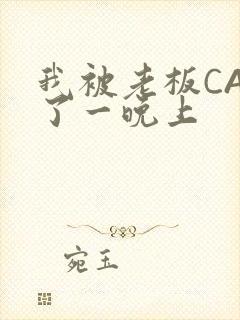 我被老板CAO了一晚上