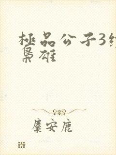 极品公子3续世枭雄