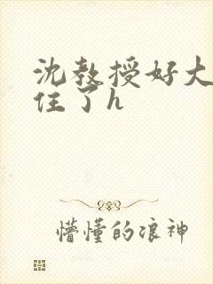 沈教授好大含不住了h