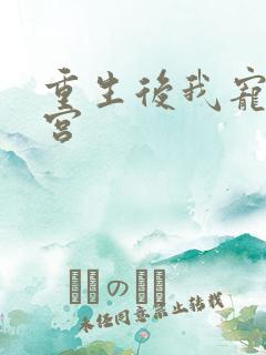 重生后我宠冠东宫