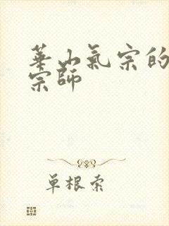 华山气宗的形意宗师