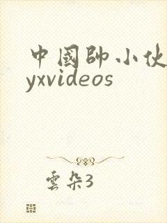 中国帅小伙gayxvideos