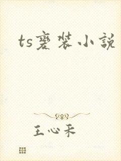 ts变装小说