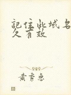 记住此域名记永久有效