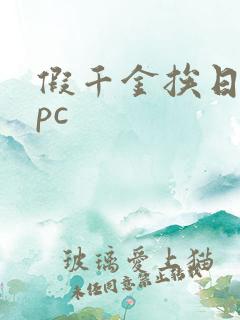 假千金挨日记npc