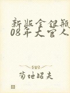 新版金银瓶2008年大官人