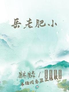 岳老肥小