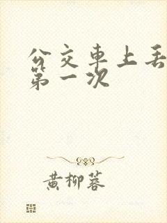 公交车上丢失了第一次