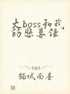 大boss和我的悲喜录