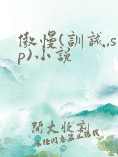 傲慢(训诫,sp)小说