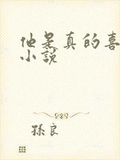 他是真的喜欢你小说