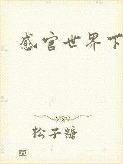 感官世界下载