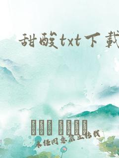 甜酸txt下载