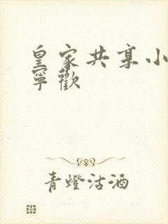 皇家共享小公主宁欢