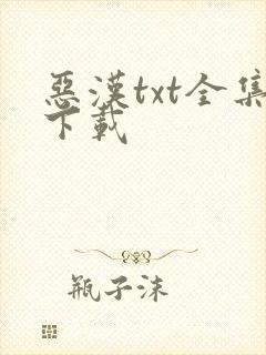 恶汉txt全集下载